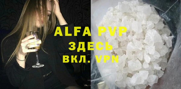 сатива Лабытнанги