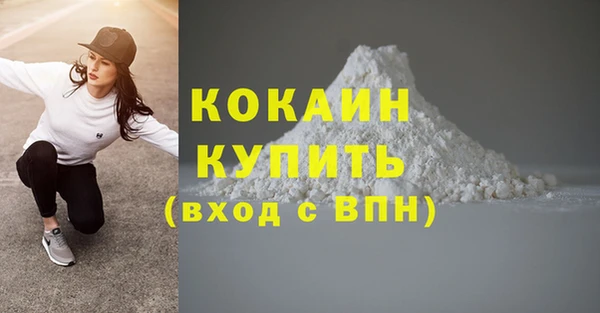 сатива Лабытнанги