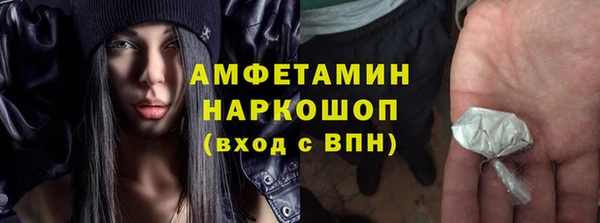 сатива Лабытнанги