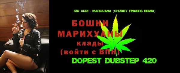 сатива Лабытнанги