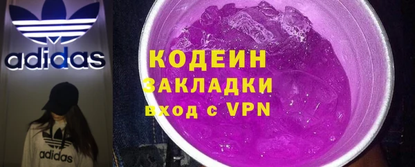сатива Лабытнанги