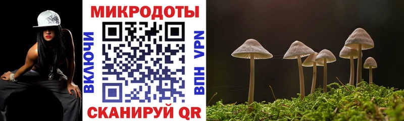 omg вход  Новое Девяткино  Галлюциногенные грибы Psilocybine cubensis  как найти закладки 